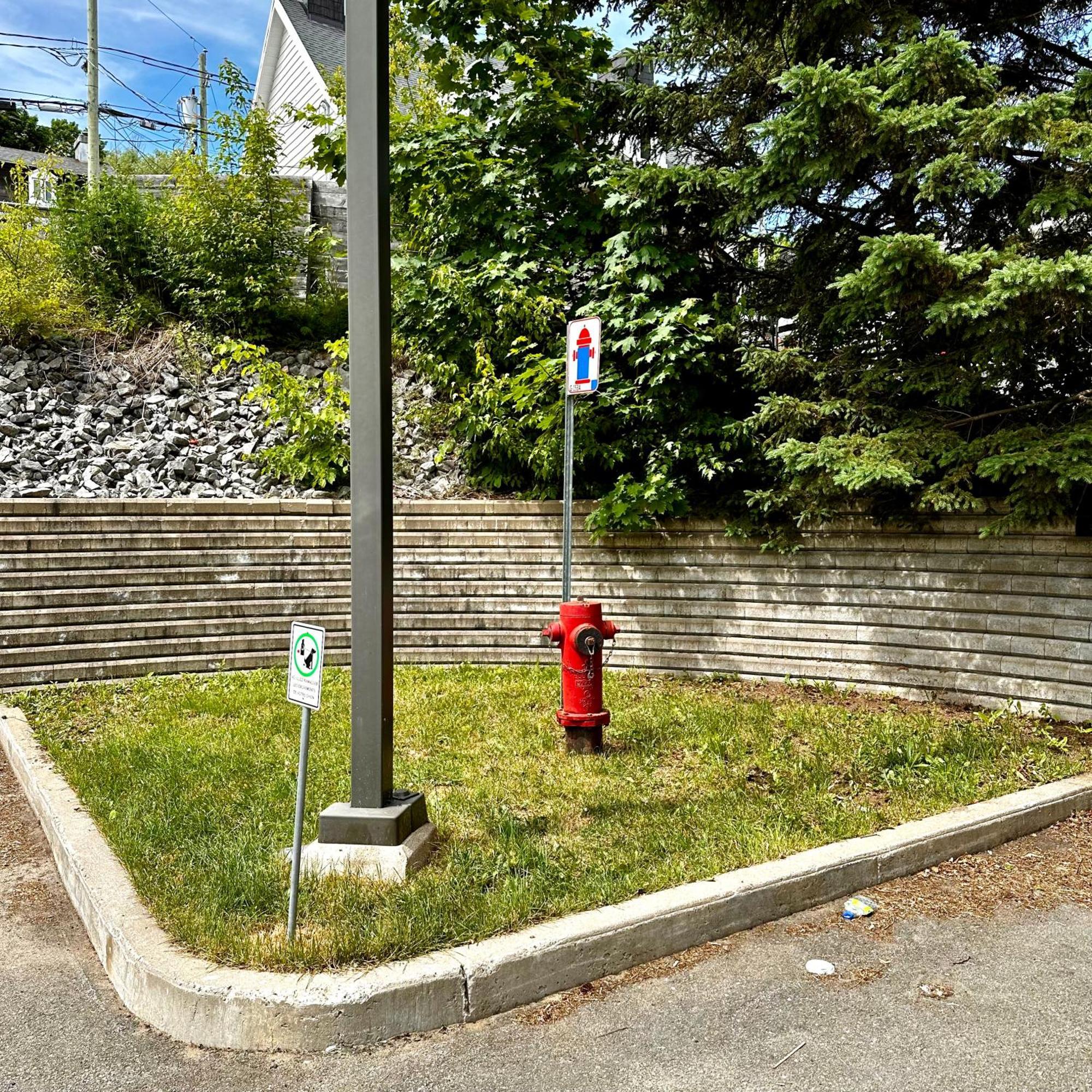 Initial - Maitre - Chutes-Montmorency Boischatel Екстер'єр фото